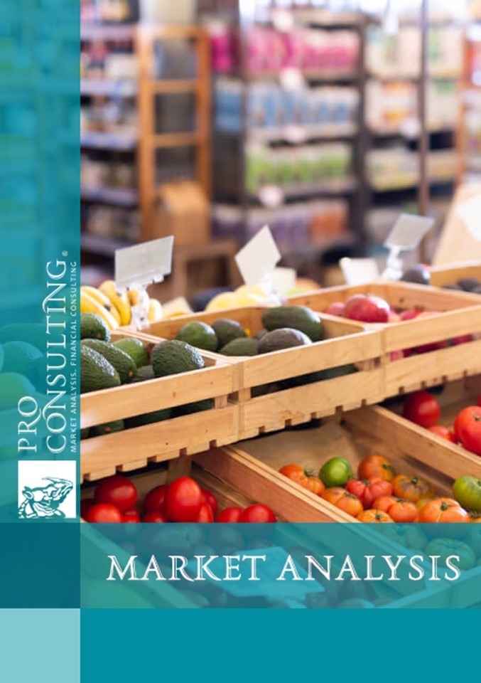 Market research report on food operators in European countries. 2024 year